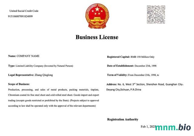 China Business license Word i szablon PDF